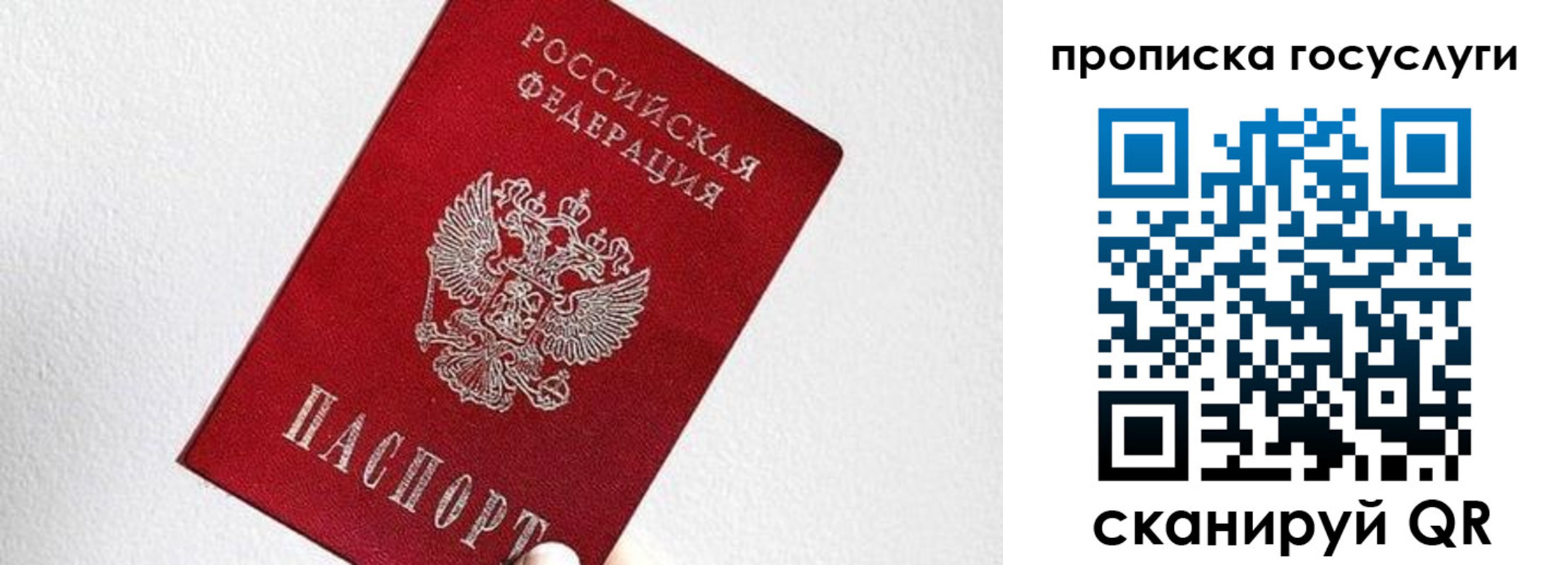 прописка законно в Дигоре